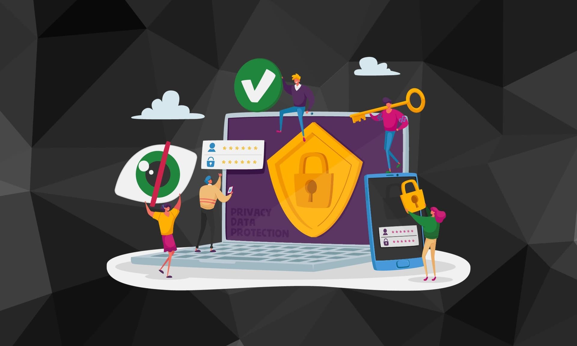 privacy program management